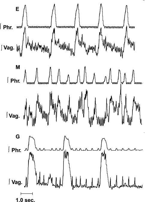 Fig. 9.