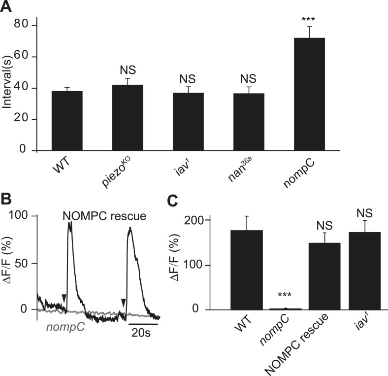 Figure 6.