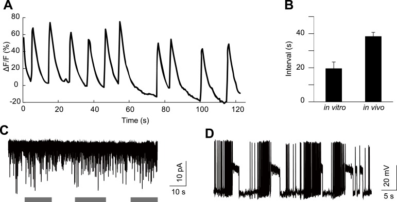 Figure 4—figure supplement 1.