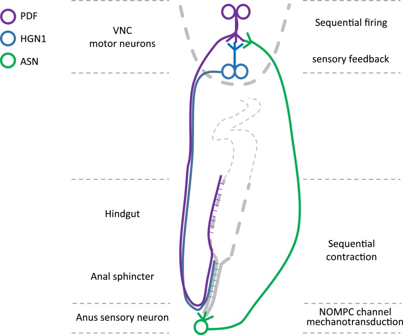 Figure 7.