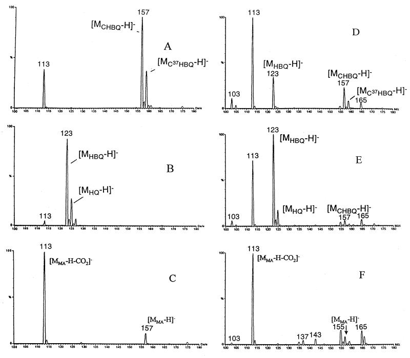 FIG. 6