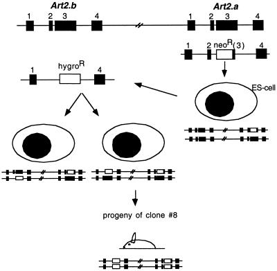 FIG. 1.