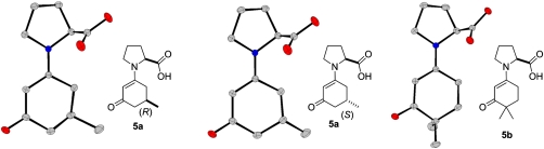 Fig. 12.