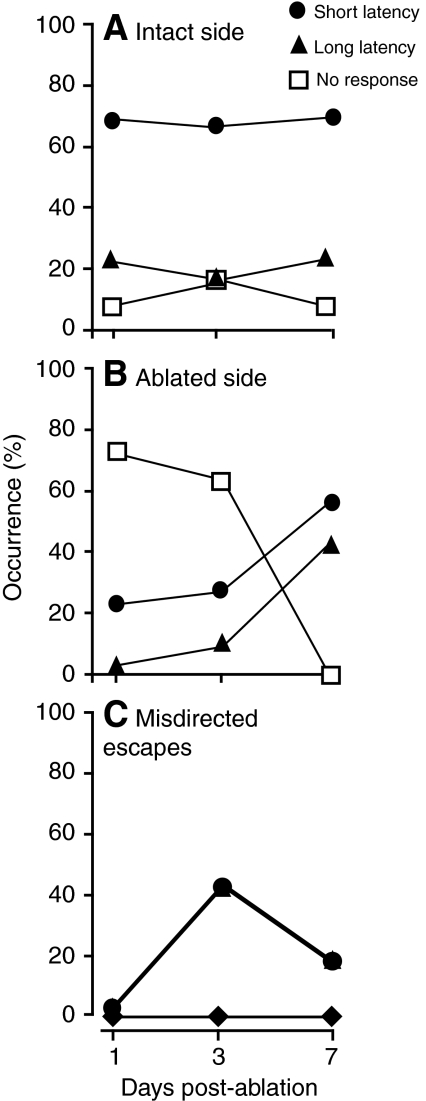 Fig. 9.