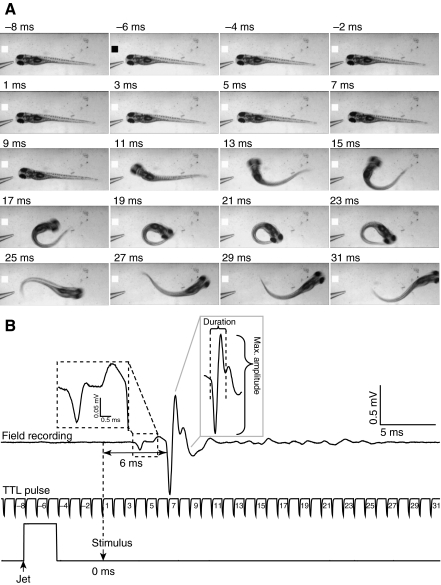 Fig. 2.