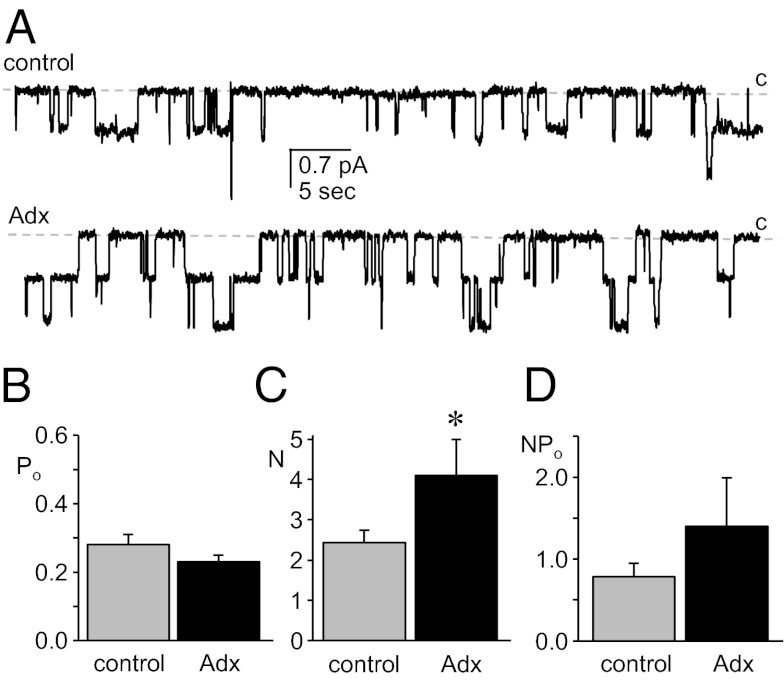 Fig. 1.