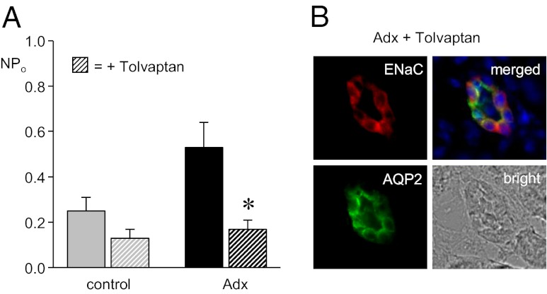 Fig. 7.