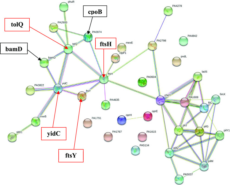 Figure 6