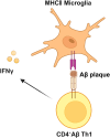 Figure 6: