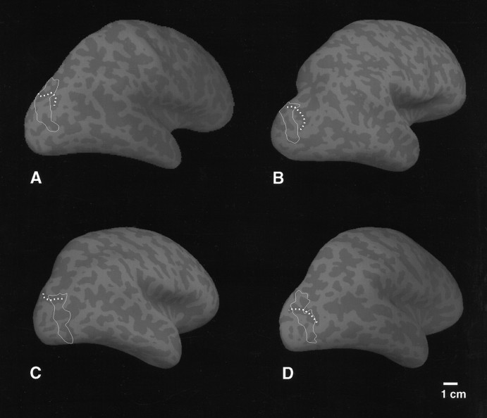 Fig. 9.