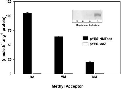 Figure 6.