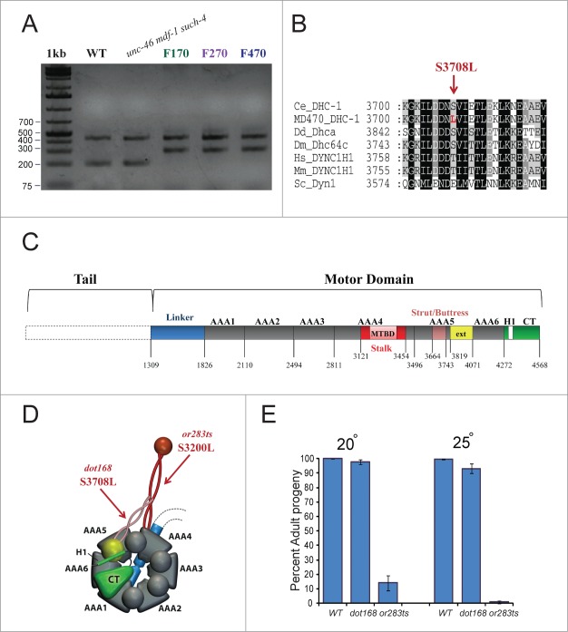 Figure 2.