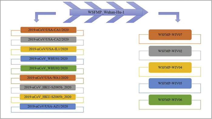 Figure 2