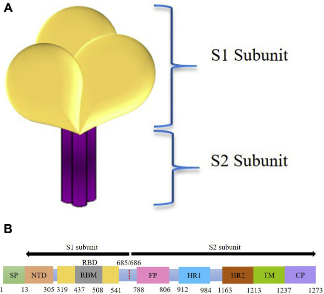 Figure 6