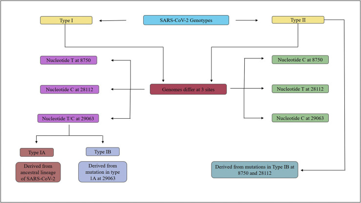 Figure 5