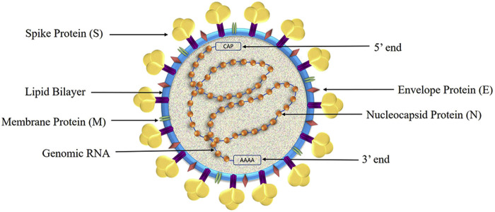 Figure 4