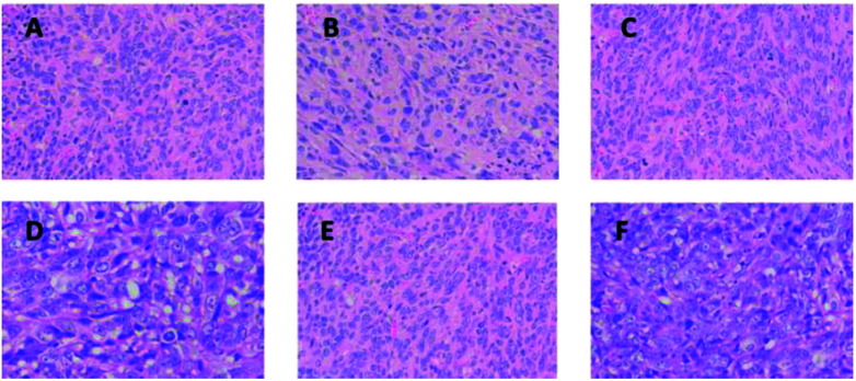 Fig. 10