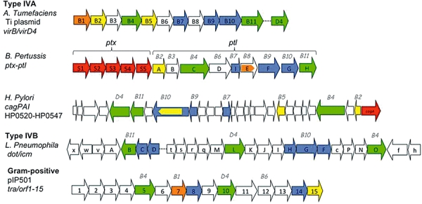 Fig. 2