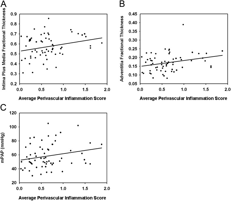 Figure 12.