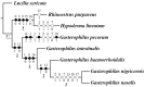 Figure 19