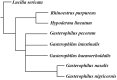 Figure 18