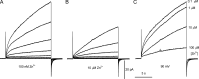Figure 10.