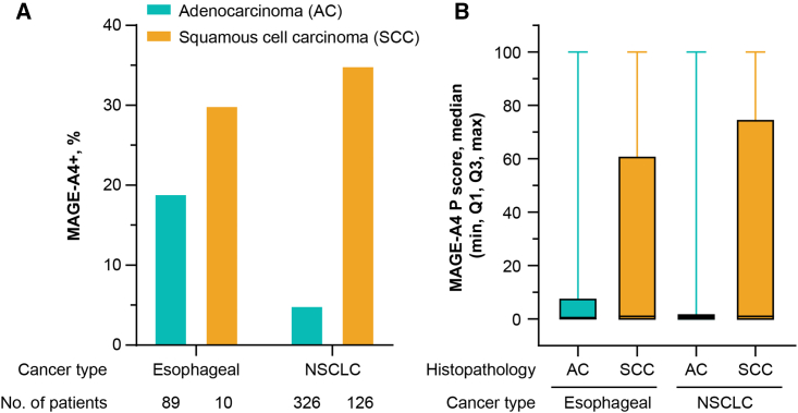 Figure 4