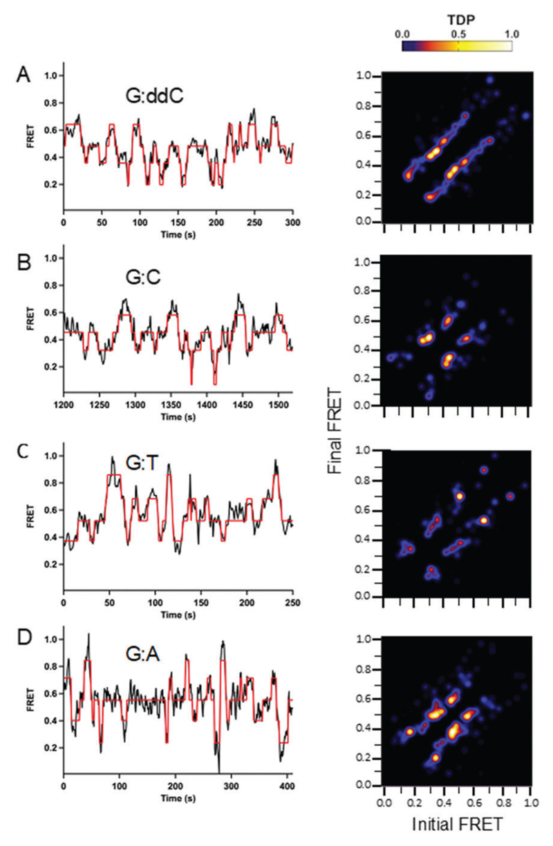 Fig. 3