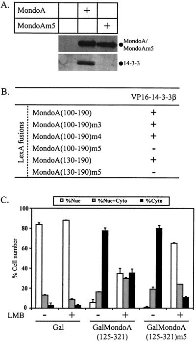 FIG. 7.