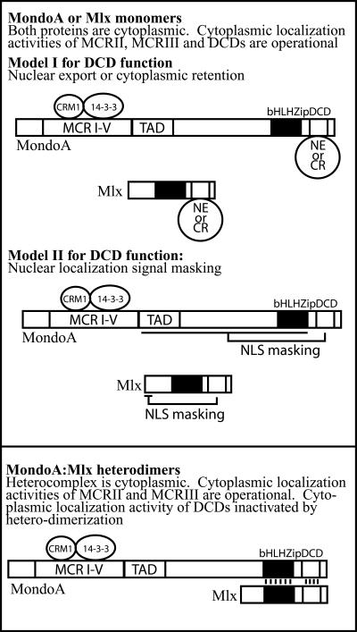 FIG. 9.