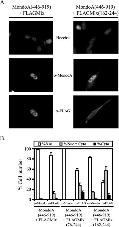 FIG. 2.