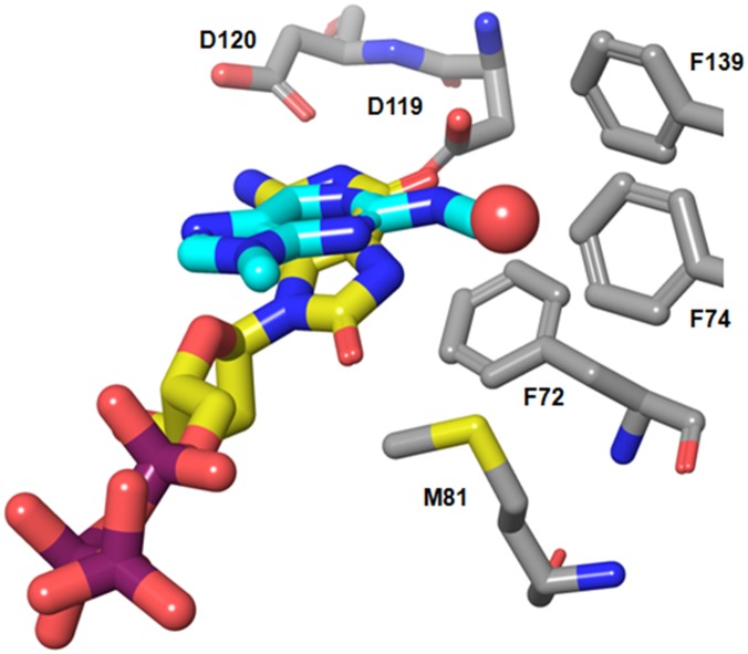 Fig 6