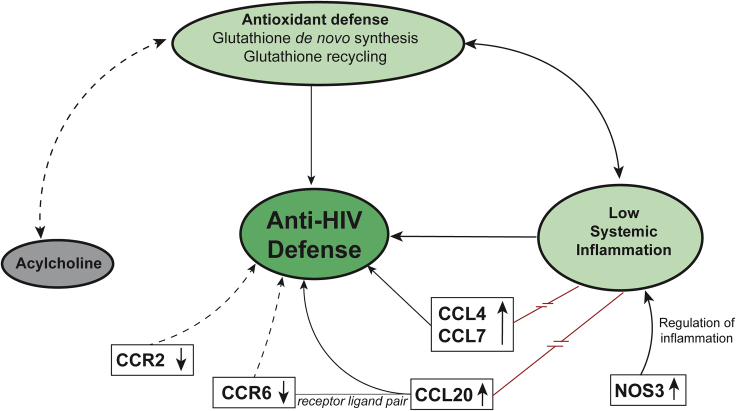 Figure 7