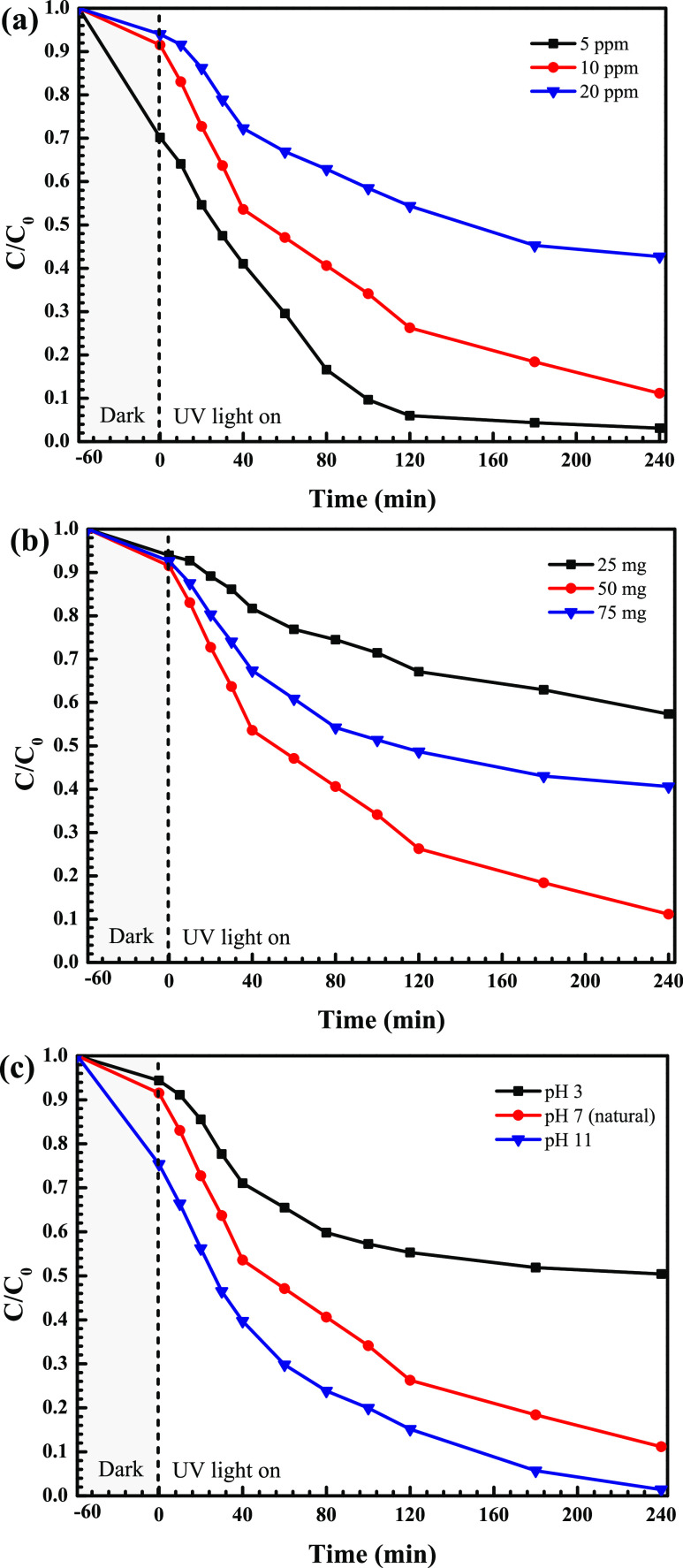 Figure 10