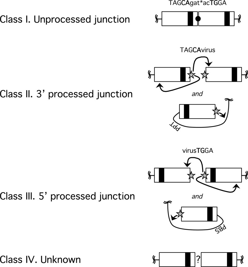 Fig 7