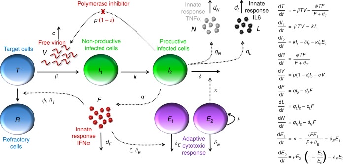 Fig. 3