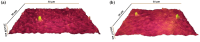 Fig. 6