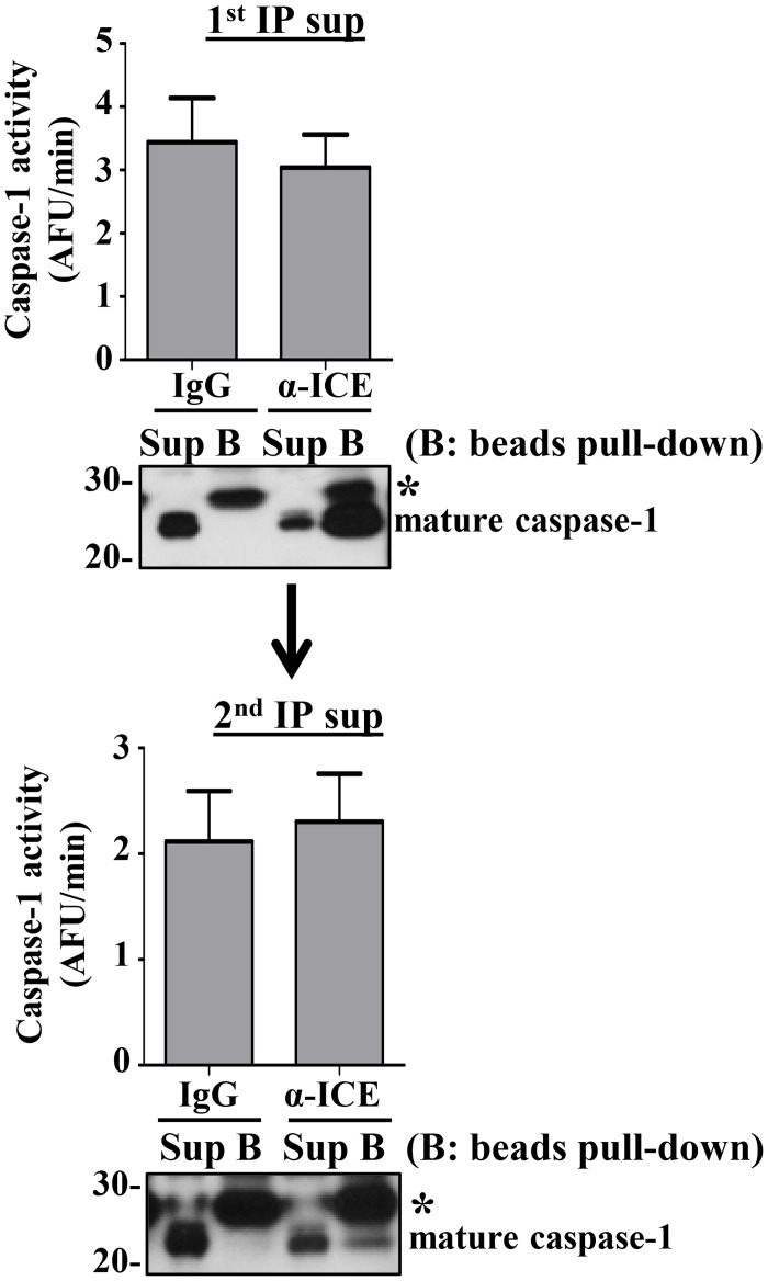 Fig 9