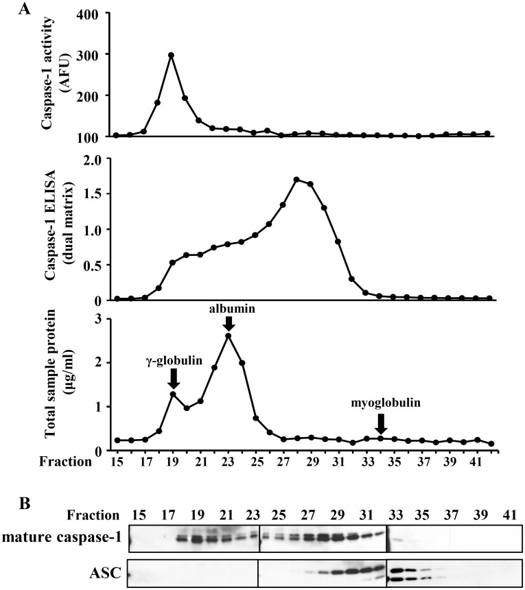 Fig 10