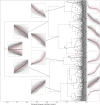 Fig 11