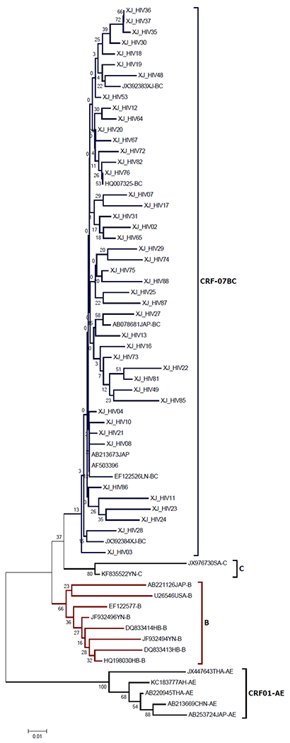 Figure 1A