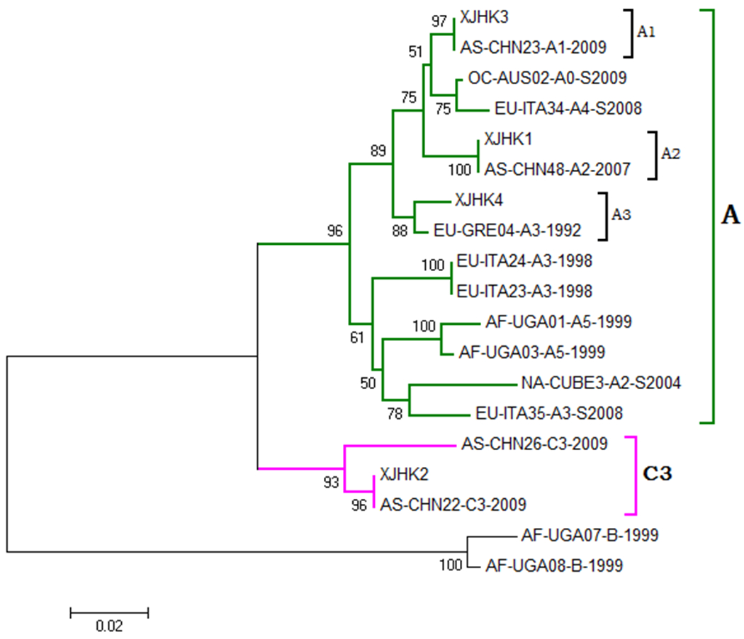 Figure 1B