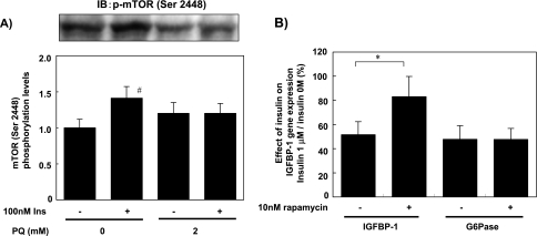 Fig. 6