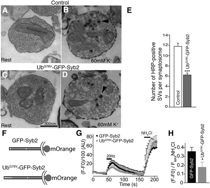 Figure 14.