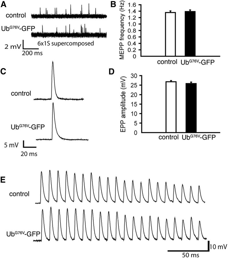 Figure 9.