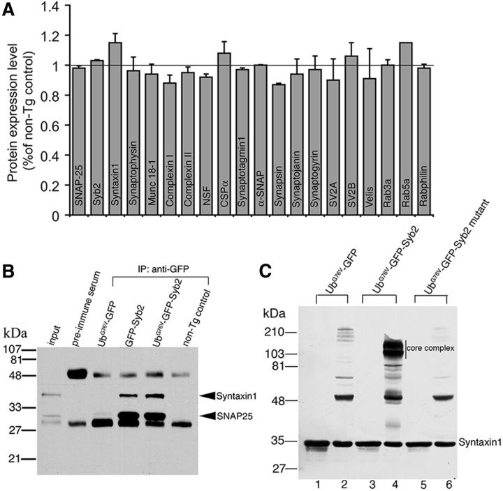 Figure 11.