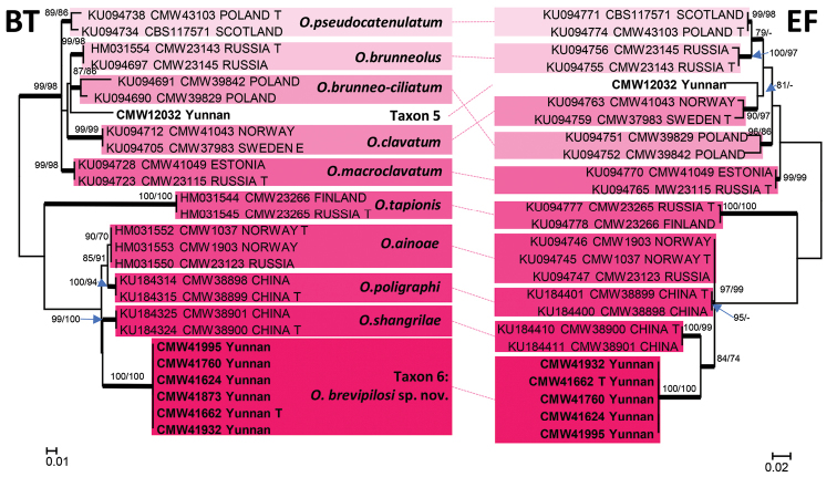 Figure 4.