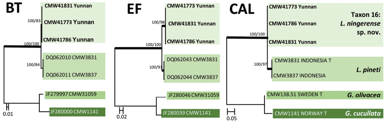 Figure 6.