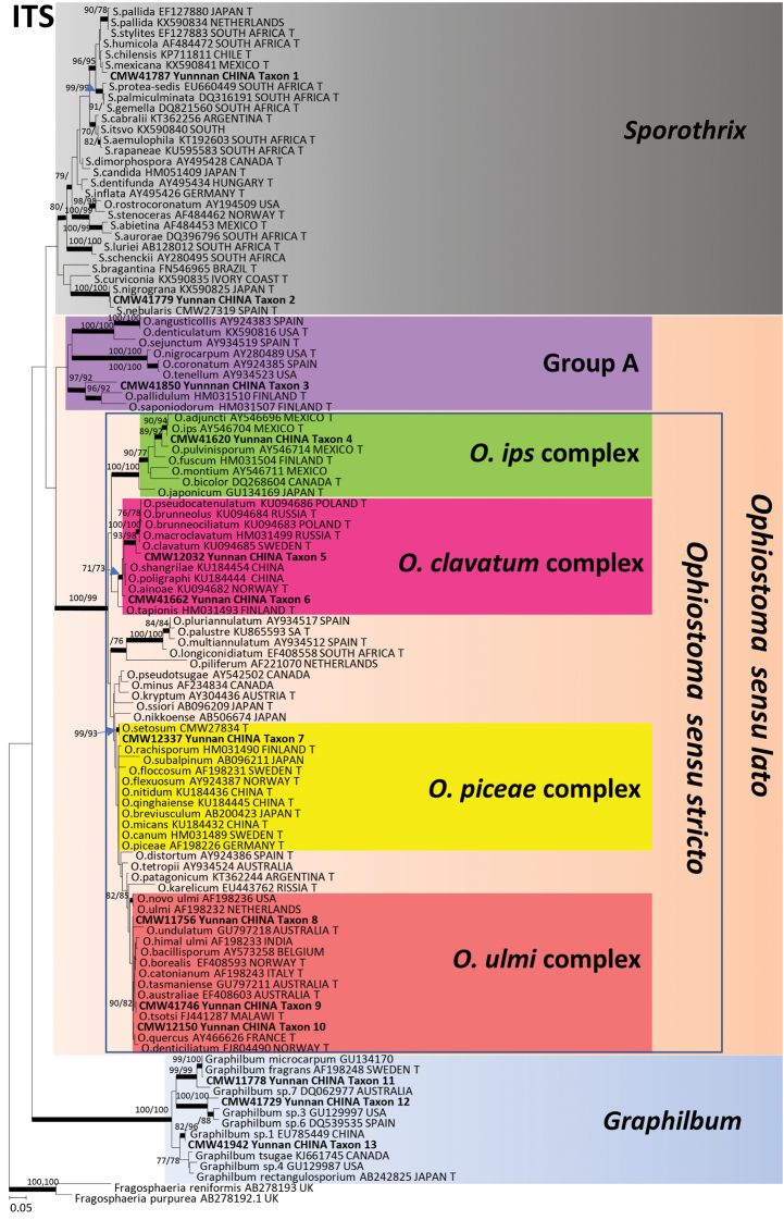 Figure 1.