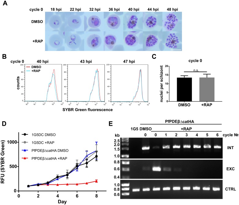 Fig 3